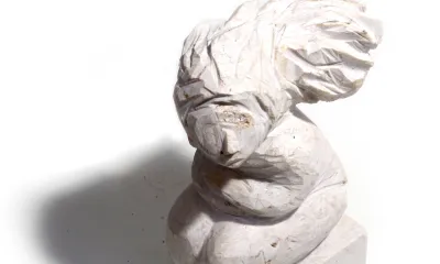 Quando for grande quero ser um passaro - content 5