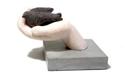 Quando for grande quero ser um passaro - content 17