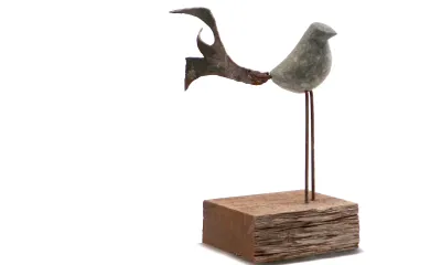 Quando for grande quero ser um passaro - content 21