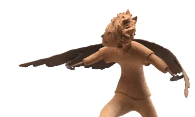 Quando for grande quero ser um passaro - content 24