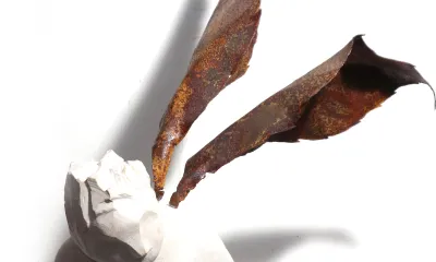 Quando for grande quero ser um passaro - content 8