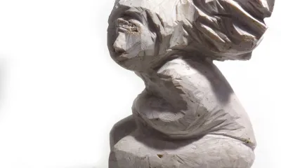 Quando for grande quero ser um passaro - content 4