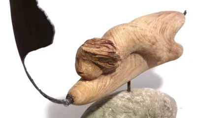 Quando for grande quero ser um passaro - content 30