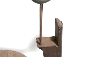 Quando for grande quero ser um passaro - content 2