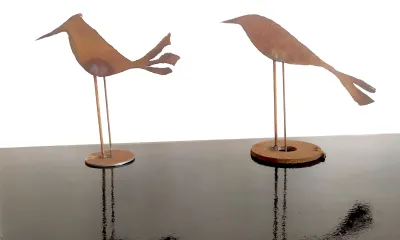 Quando for grande quero ser um passaro - content 36