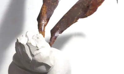 Quando for grande quero ser um passaro - content 39