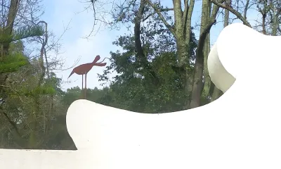 Quando for grande quero ser um passaro - content 41