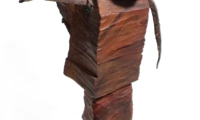 Quando for grande quero ser um passaro - content 6