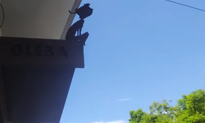 os pirralhas do pãozinho - content 8