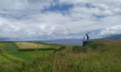 A mulher de Porto Pim e outros contos... - content 9