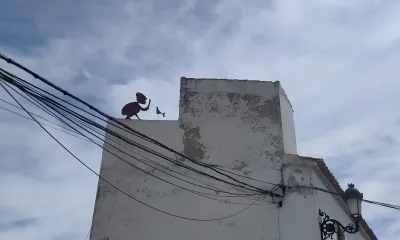 Los amigos segretos de Paco Ariza - content 8