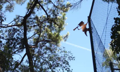 STORYTELLERS BD - content 13