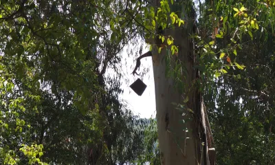 STORYTELLERS BD - content 14